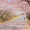 最新韩国新片免费更新